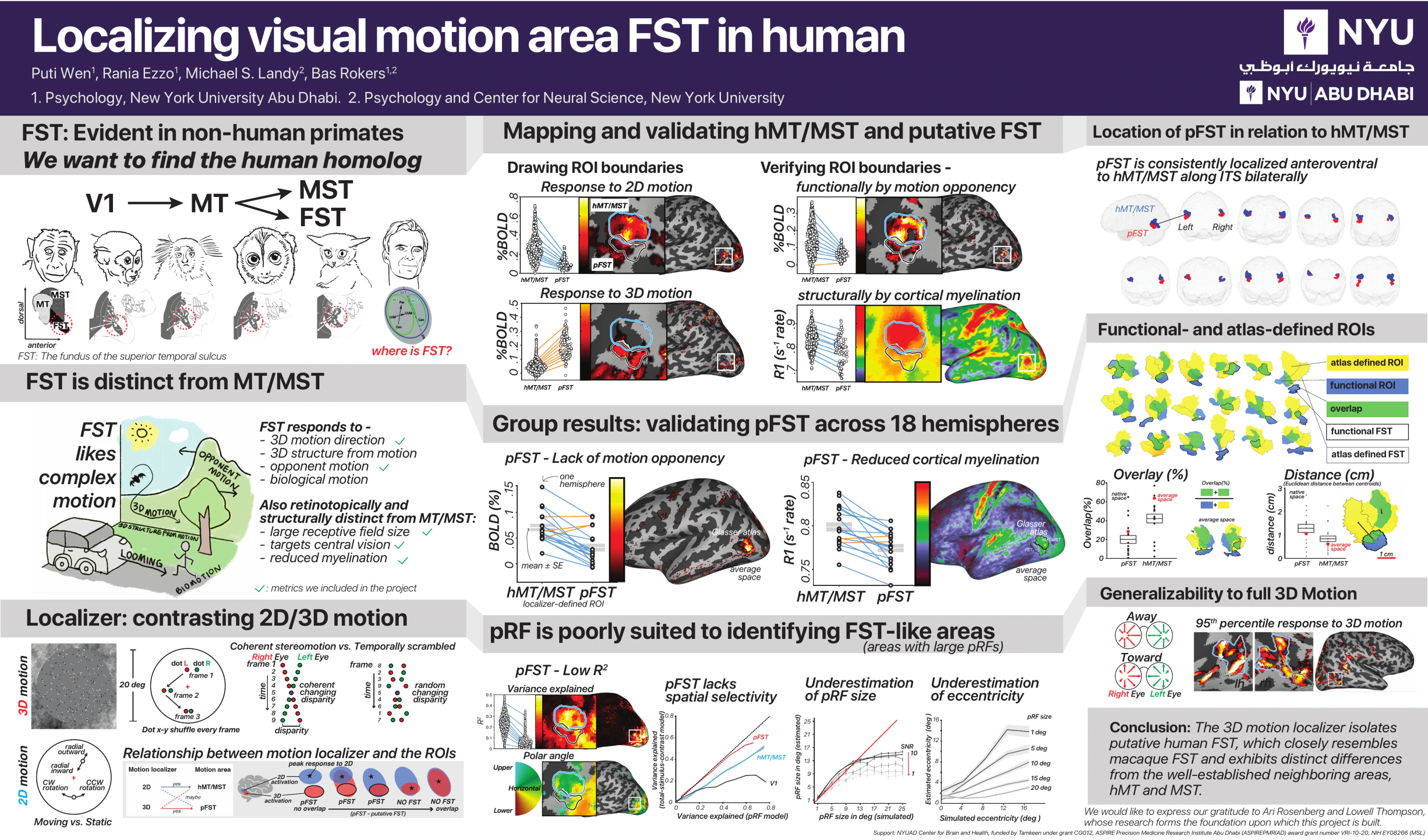 Preview of the Localizing visual motion area FST in human poster